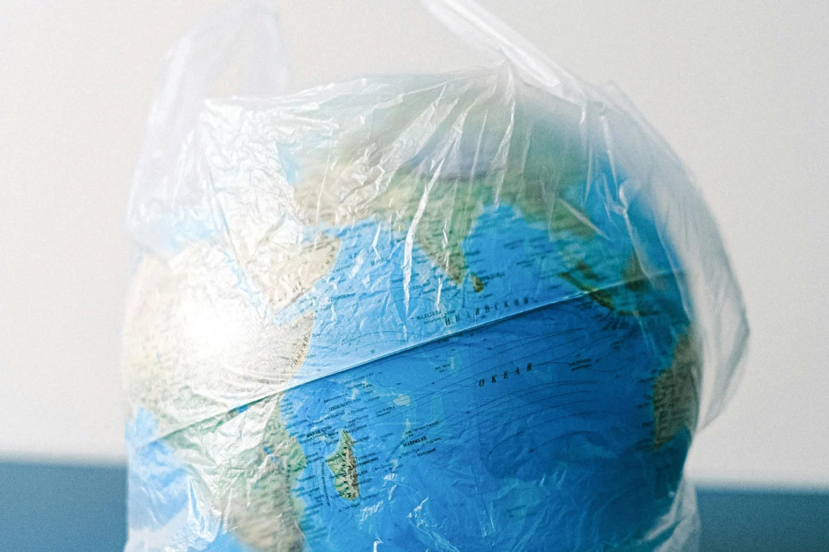 Quand l’art rencontre l’écologie