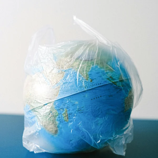 Quand l’art rencontre l’écologie