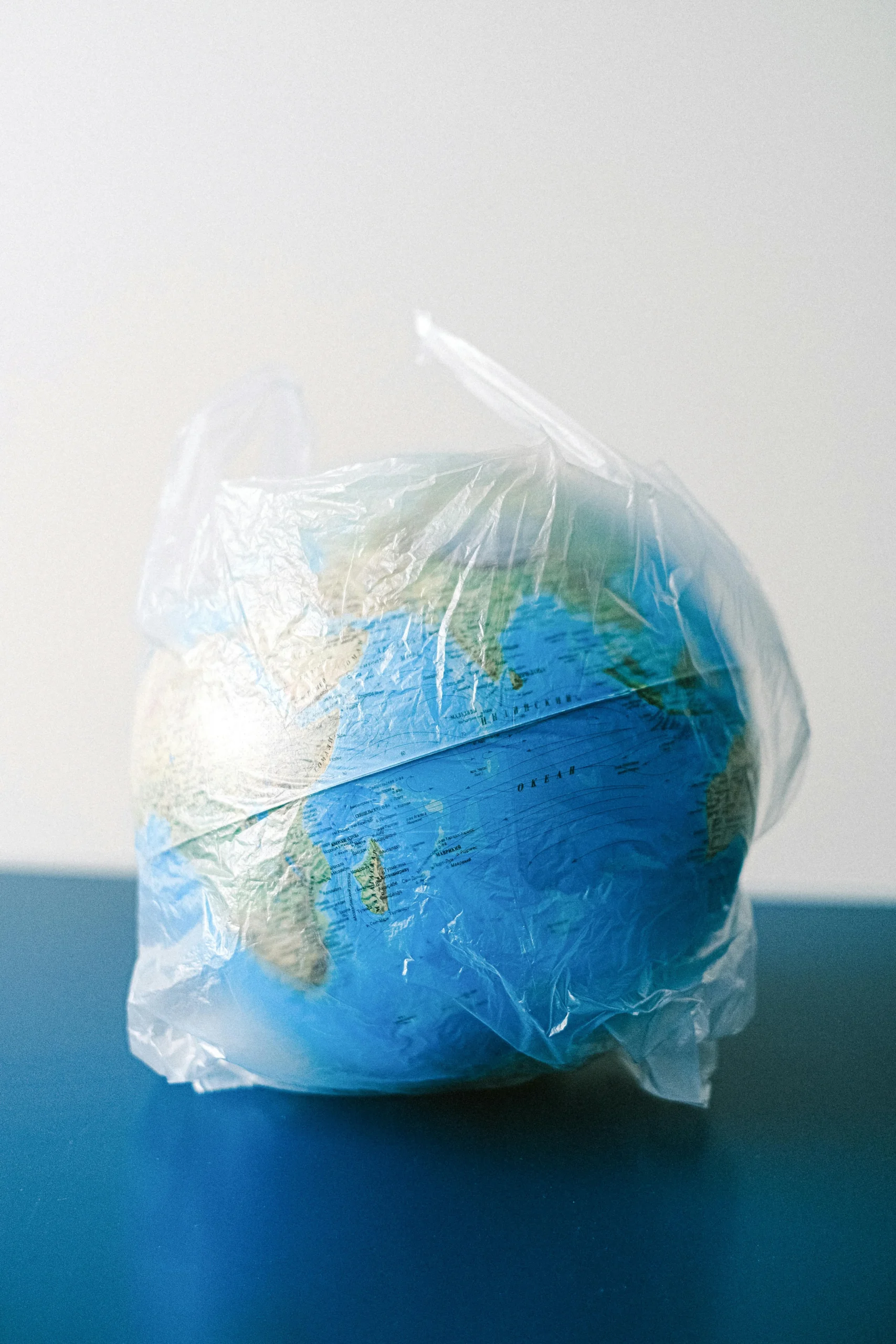 Quand l’art rencontre l’écologie