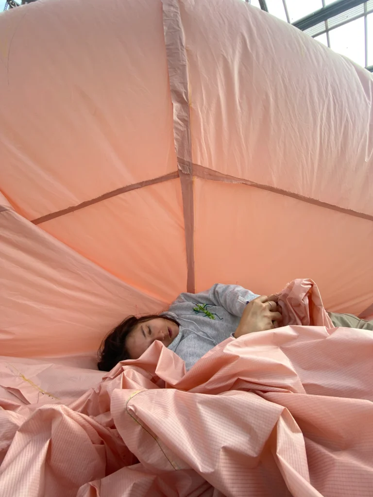 Marguerite Li-Garrigue : Quand l&rsquo;art rencontre la métamorphose des insectes